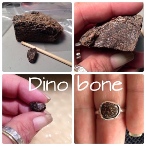 Collage Dinosaur Bone